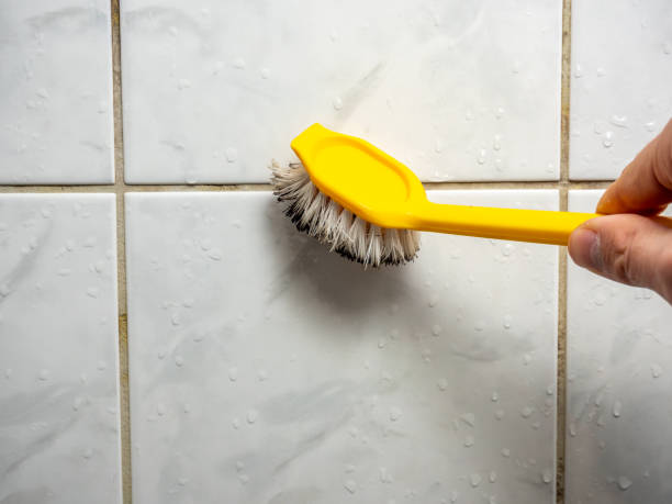 Mold Removal and Inspection in Lordsburg, NM