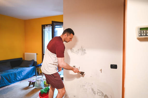 Professional Mold Removal in Lordsburg, NM